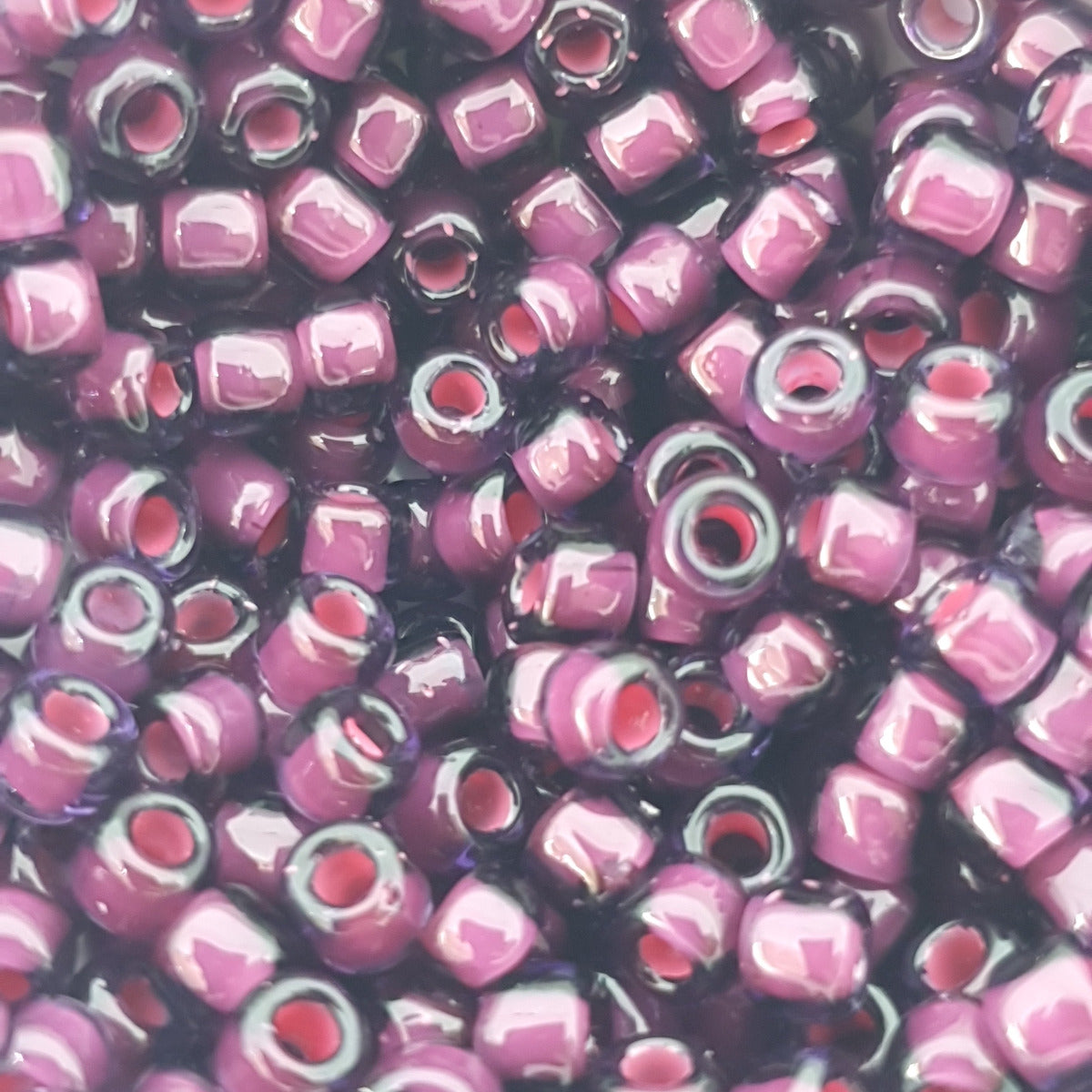6/0 (#11/207) Fuchsia Lined Purple - 20g Tube