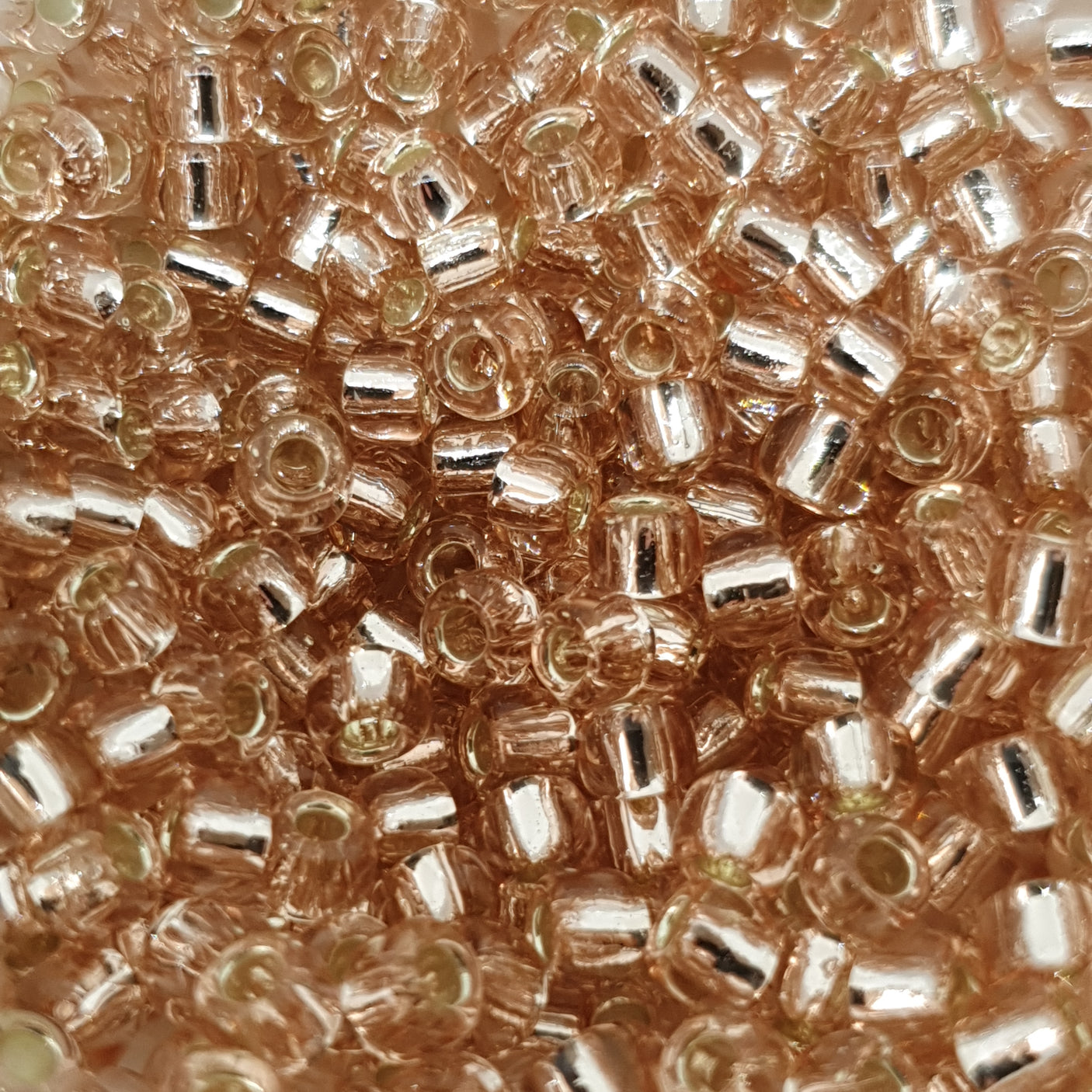 6/0 (#39) Palest Pink Silverlined - 20g Tube