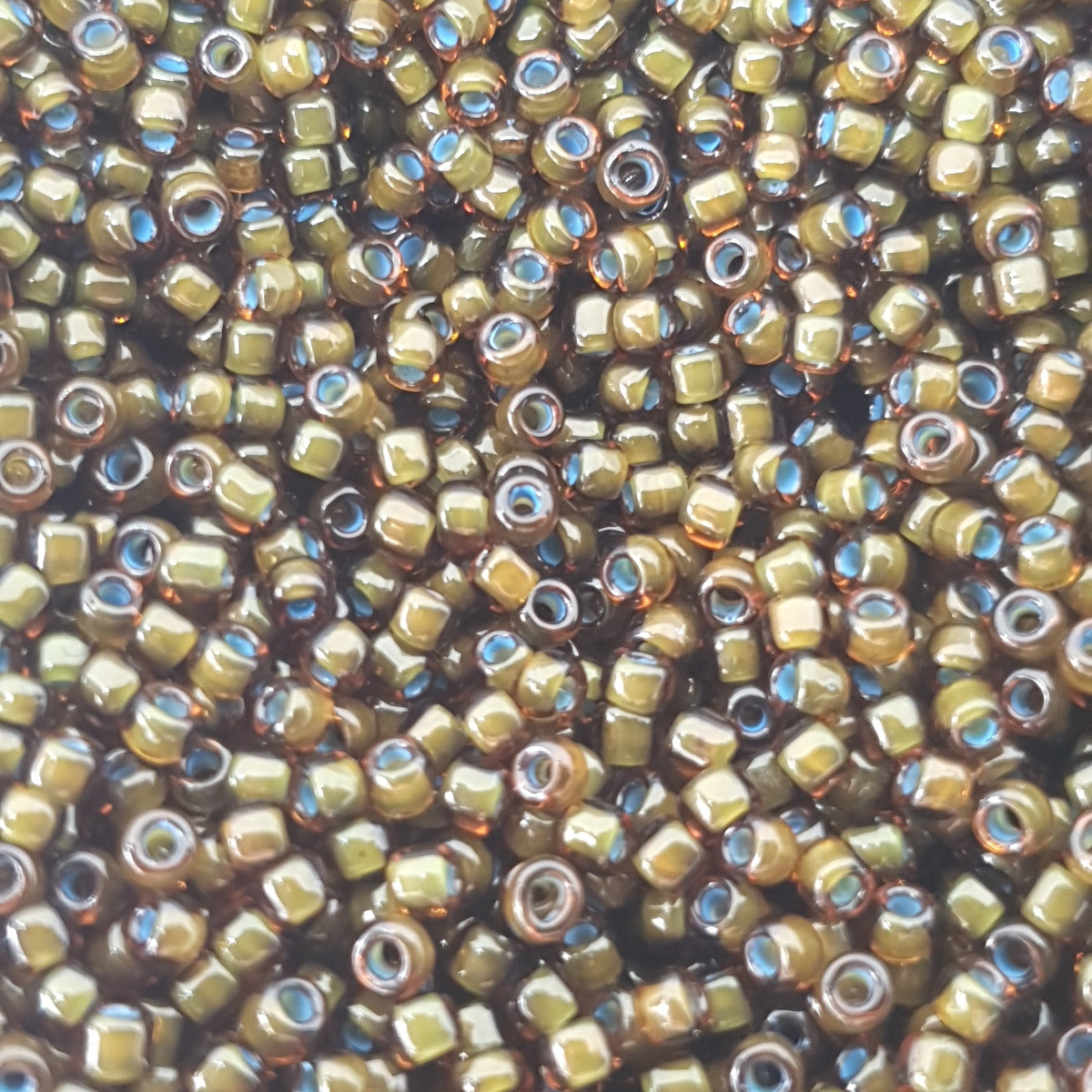 12/0 (#24/216) Blue Lined Brown - 24g Tube