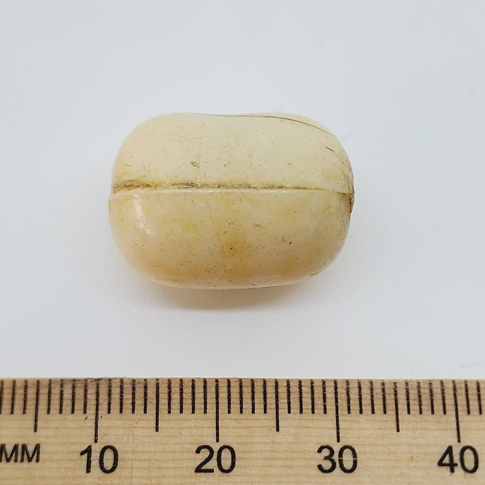 20x12m Capsule (25) - Antique Bone Look Vintage Beads