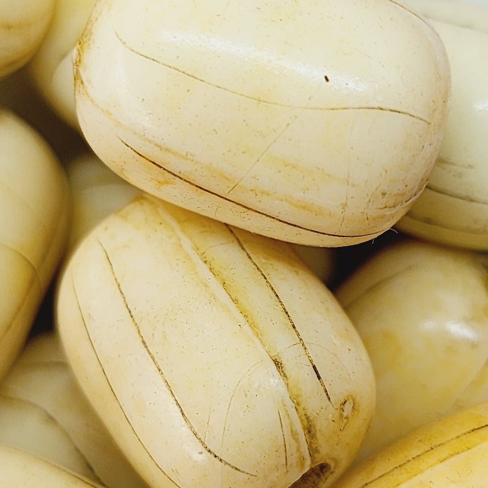 20x12m Capsule (25) - Antique Bone Look Vintage Beads