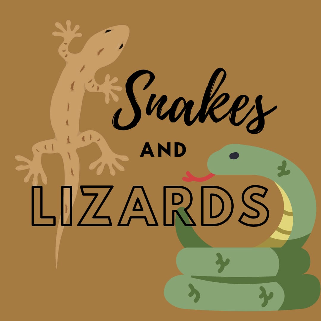 Bead Shack Kid's Birthday Party - Snakes and Lizards