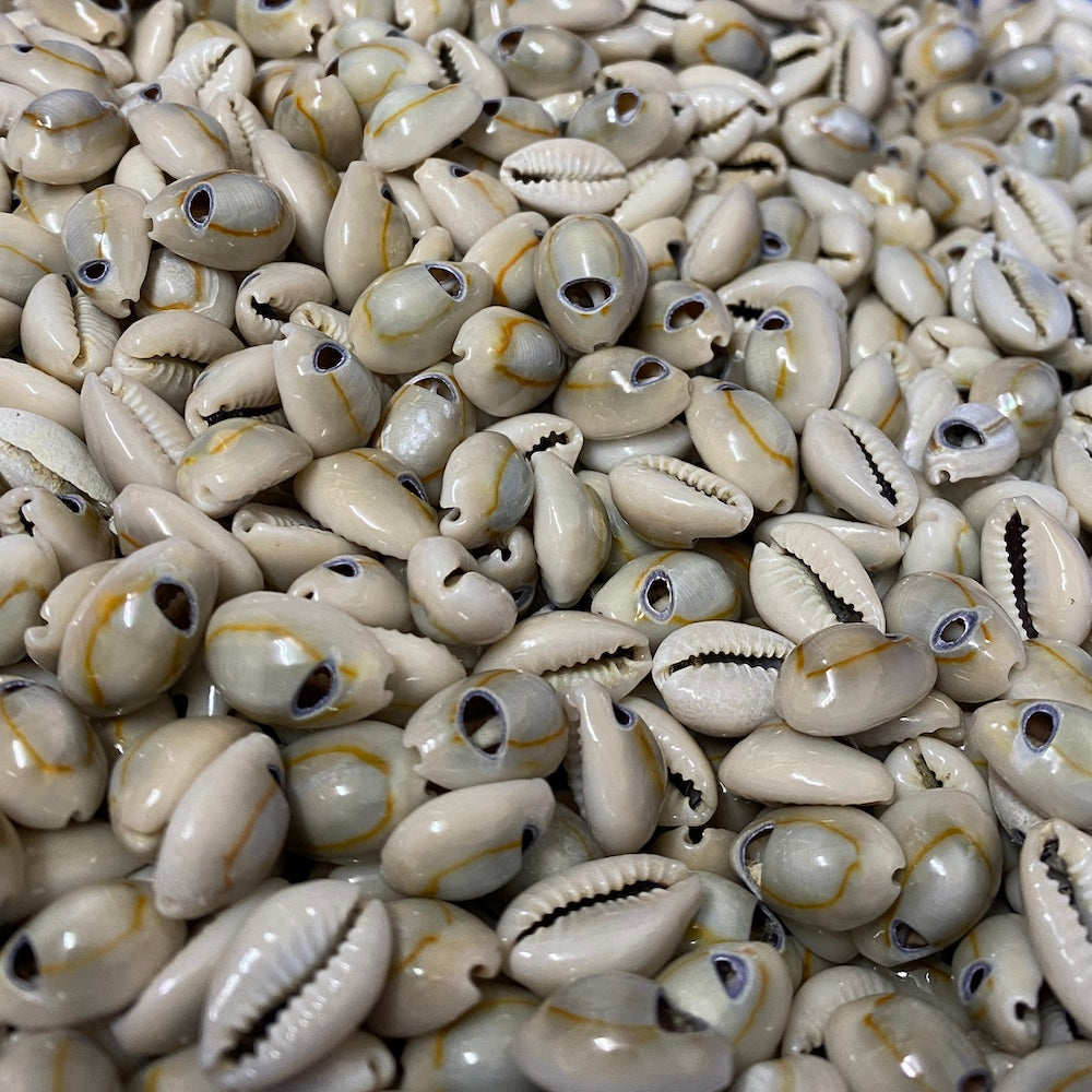 Cowrie Shells (25 grams) - Small - Blue, Cream Beige, Orange