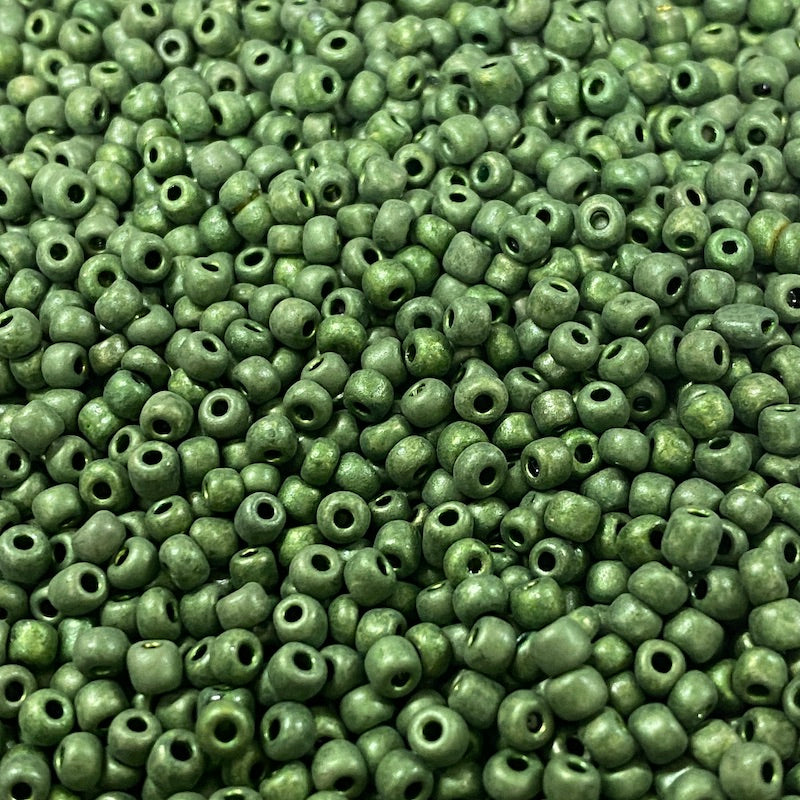 Dark Sage - 8/0 Matte Opaque (25g) - Seed Beads