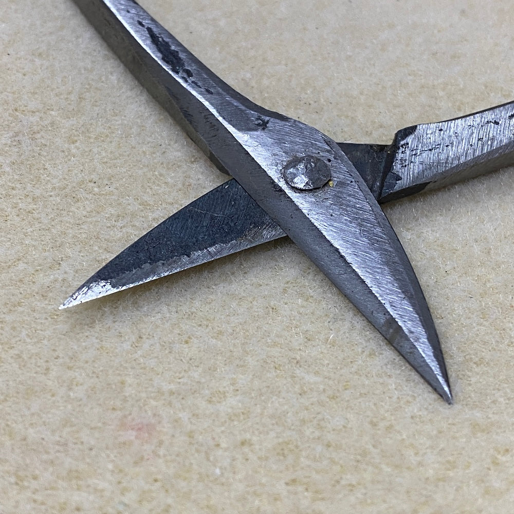 Close-up of a pair of metal shears on a beige background