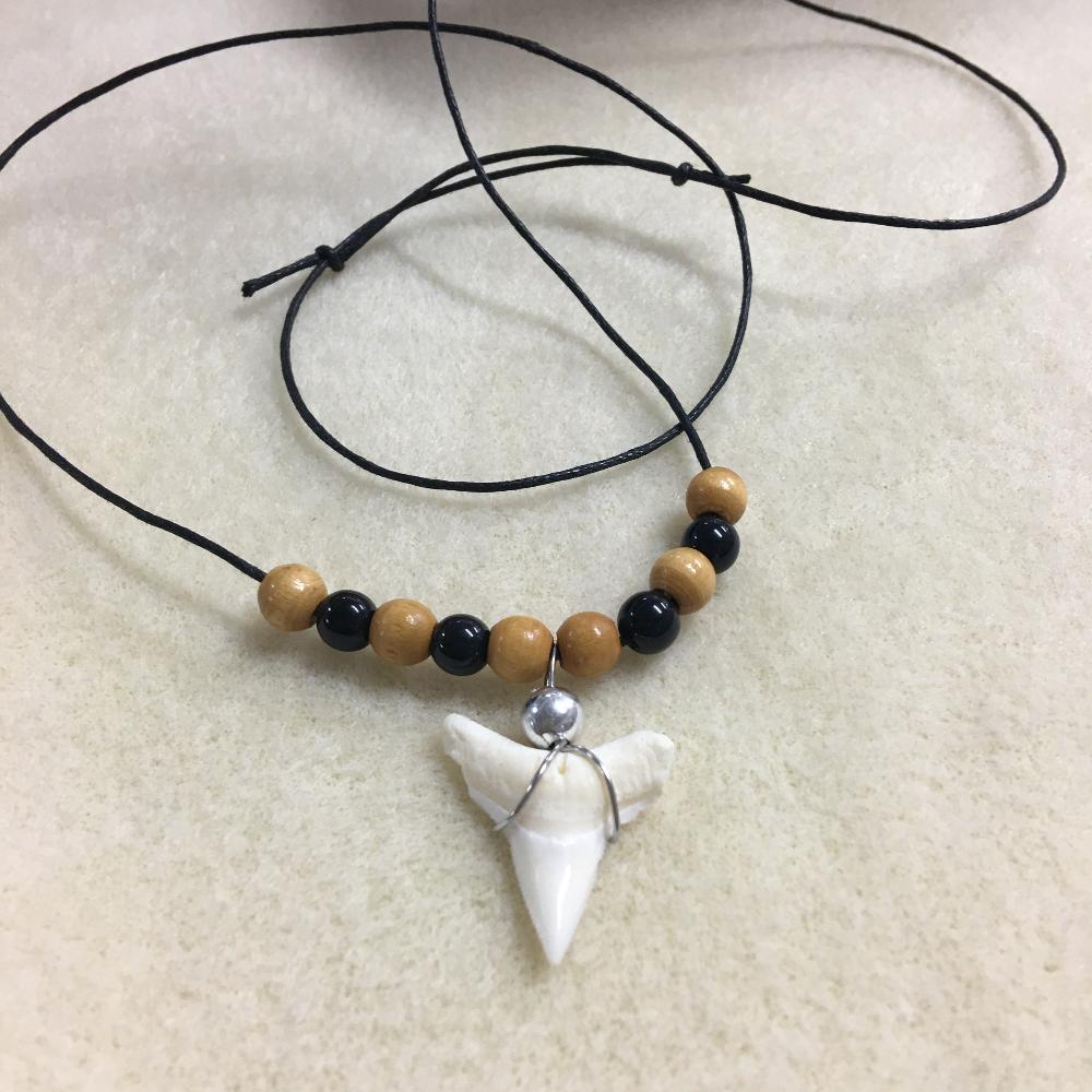 Shark Tooth Necklace Kit