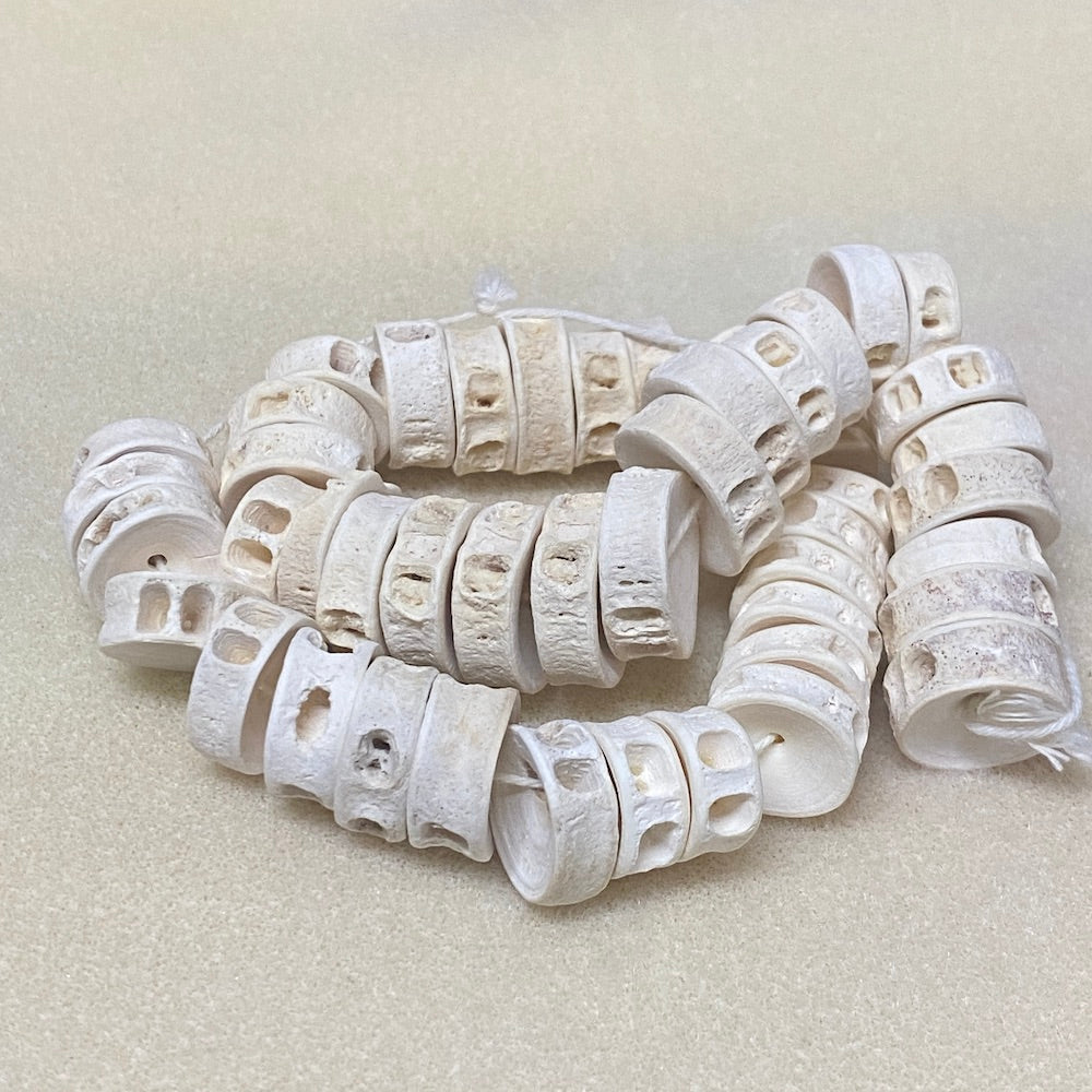 Large (10) - Fish Vertebrae Bone Beads