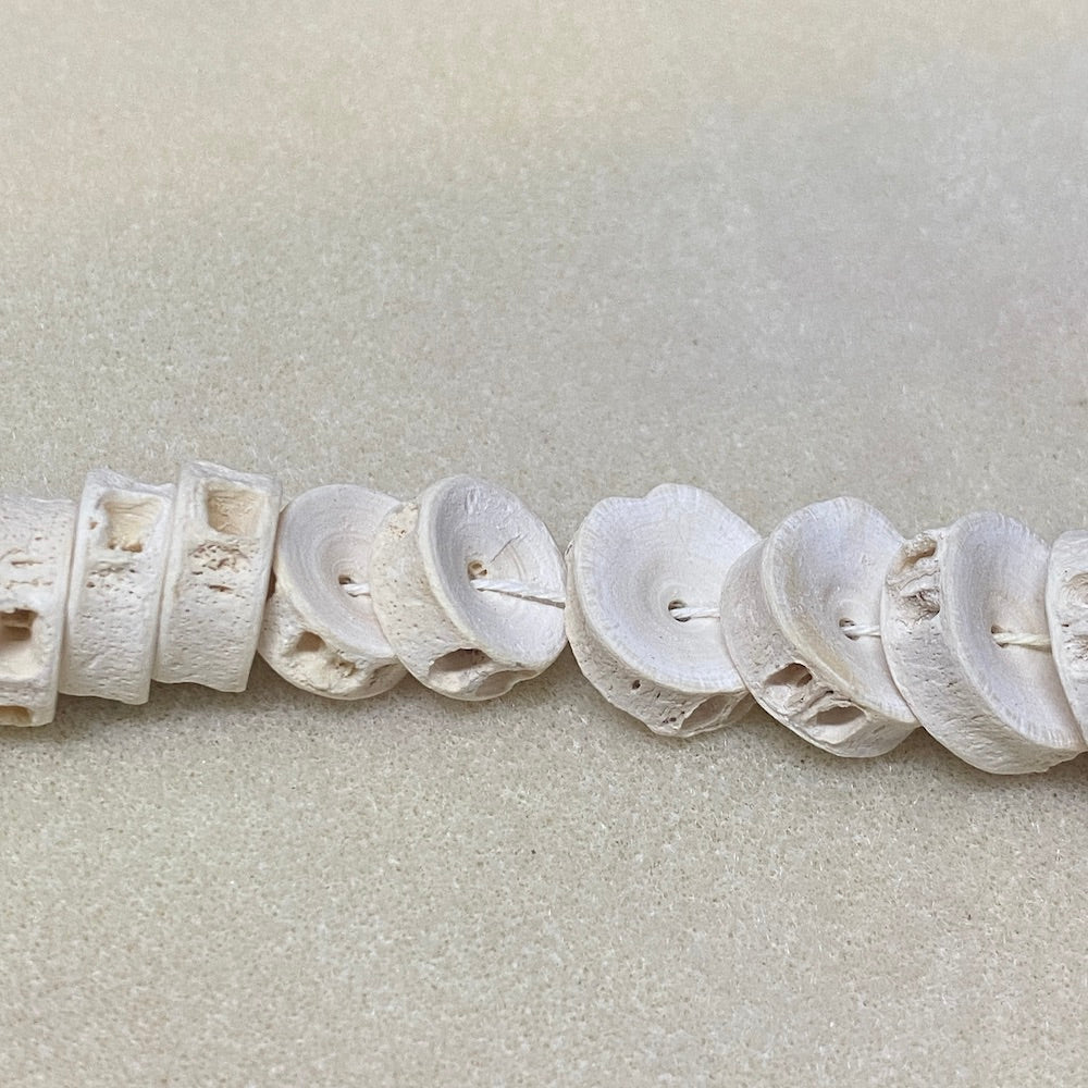 Large (10) - Fish Vertebrae Bone Beads