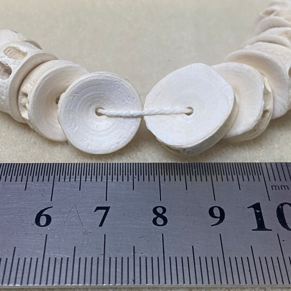 Large (10) - Fish Vertebrae Bone Beads