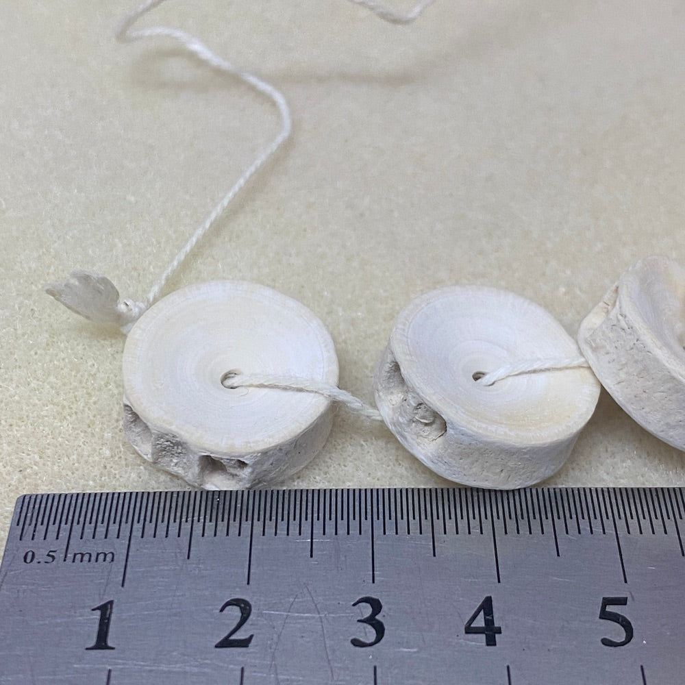 Large (10) - Fish Vertebrae Bone Beads
