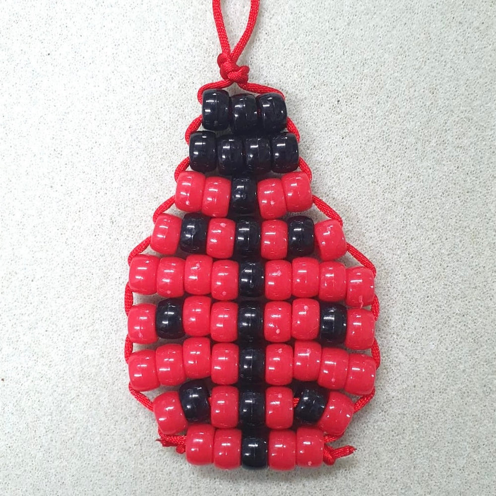 Lace Up Kit - Dotty the Ladybug