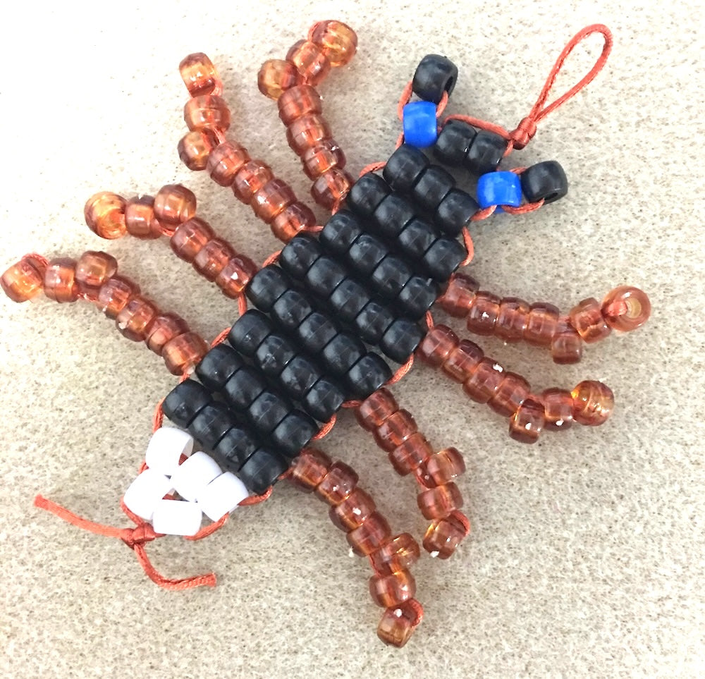 Lace Up Kit - Wilson the White Tail Spider