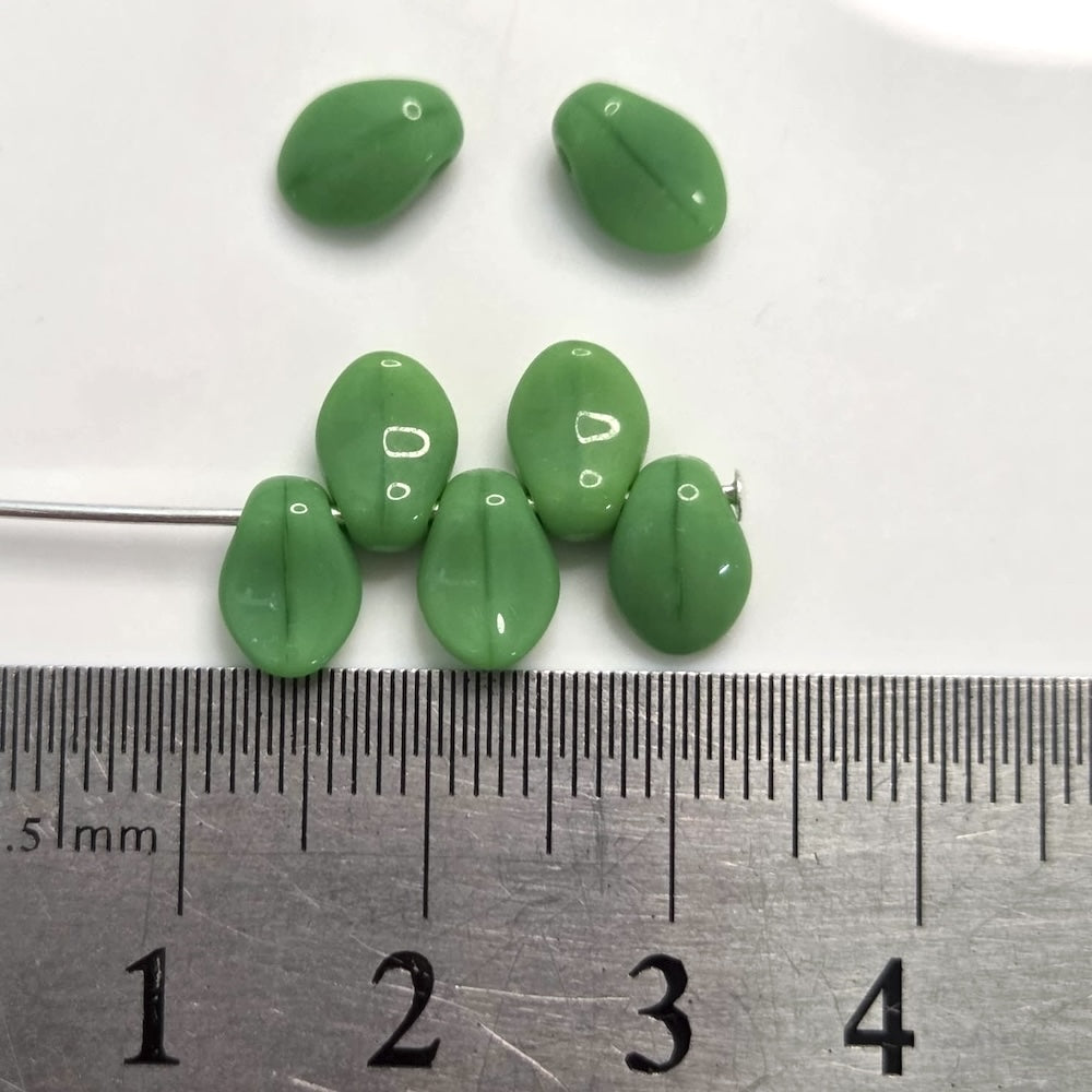 Green leaf-shaped objects with a ruler for scale on a white background
