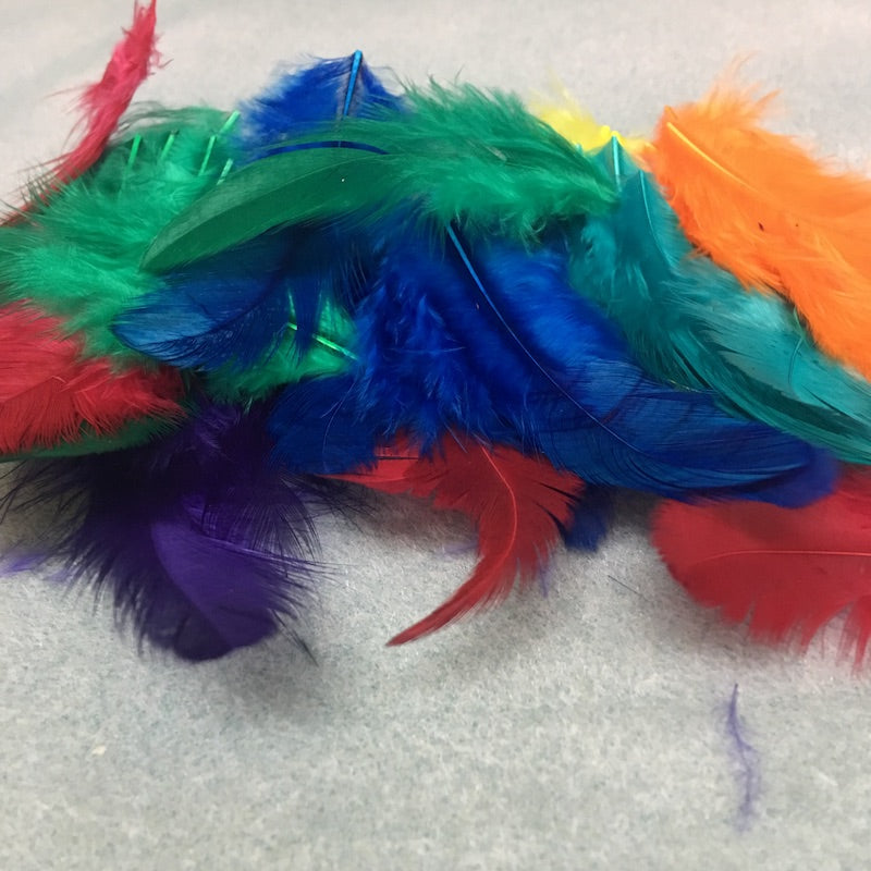 Feathers (50) - Mixed