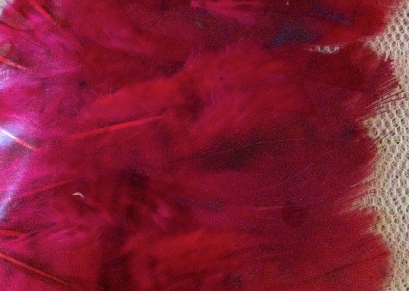 Feathers (50) - Cerise