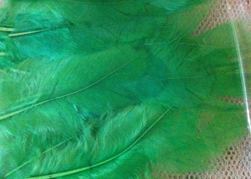Feathers (50) - Green