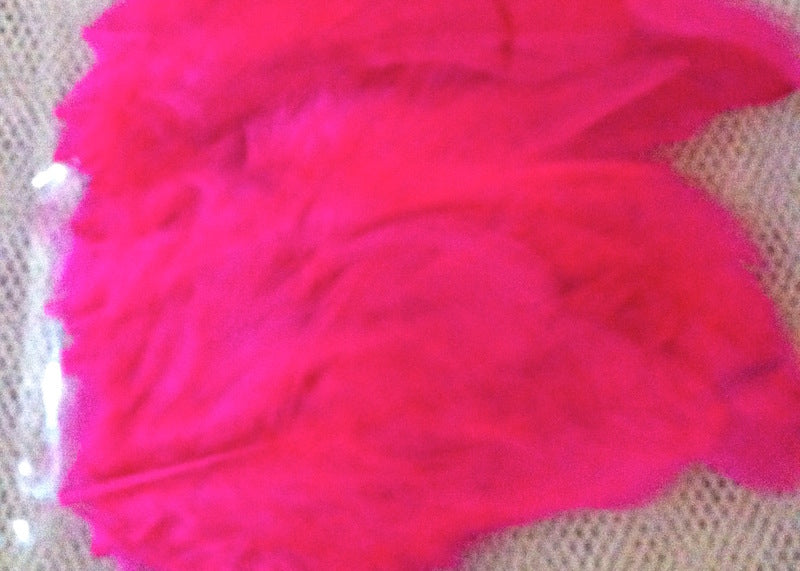 Feathers (50) - Hot Pink