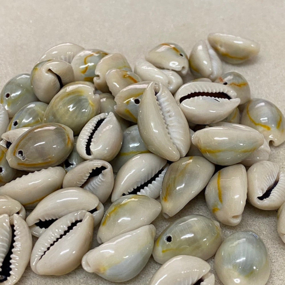a collection cowrie shells arranged on a textured surface