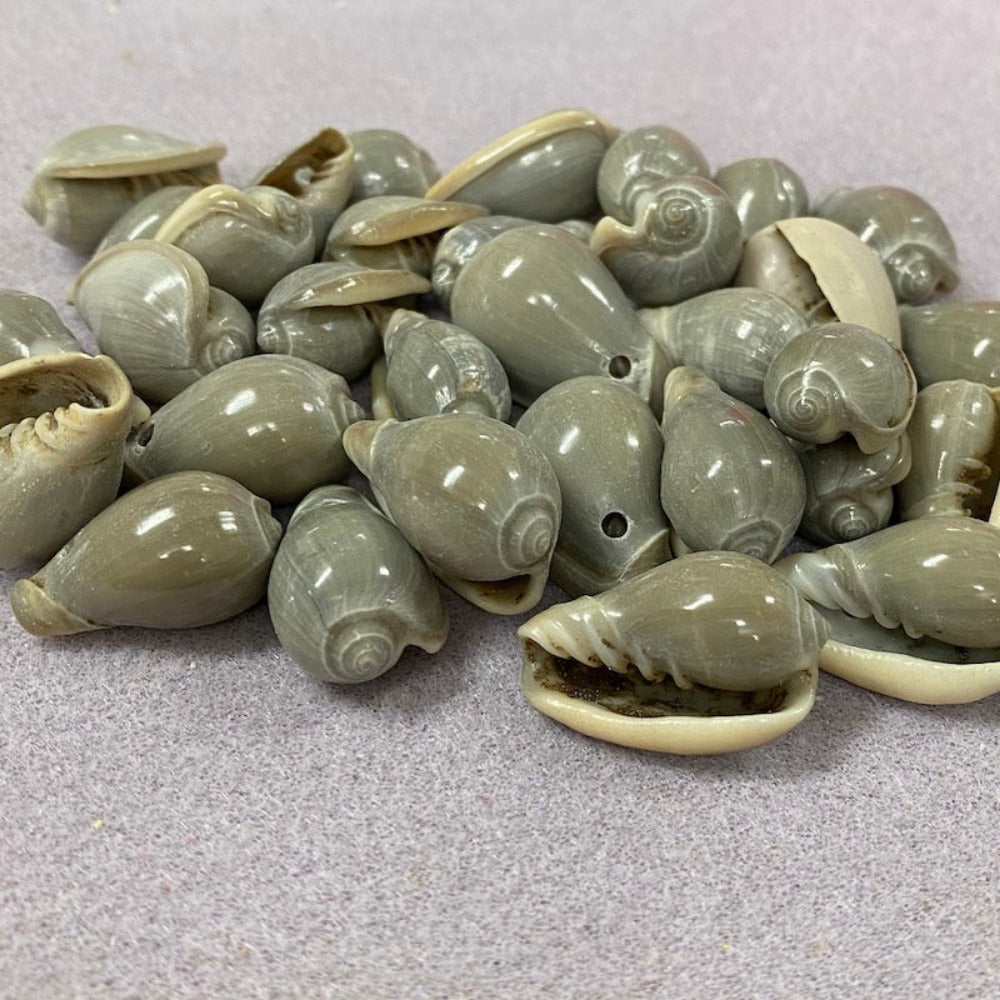 A collection of greenish grey cone-shaped shell beads placed on a textured surface