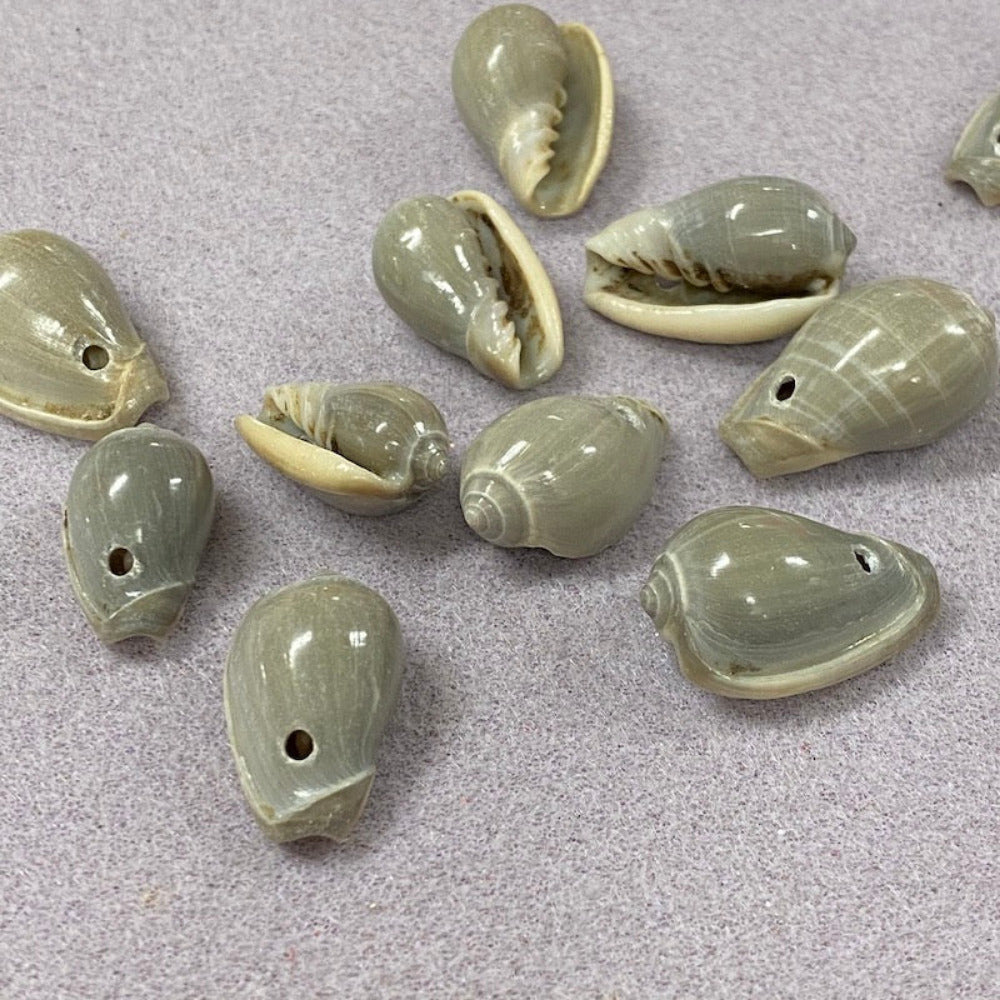 A collection of greenish grey cone-shaped shell beads placed on a textured surface