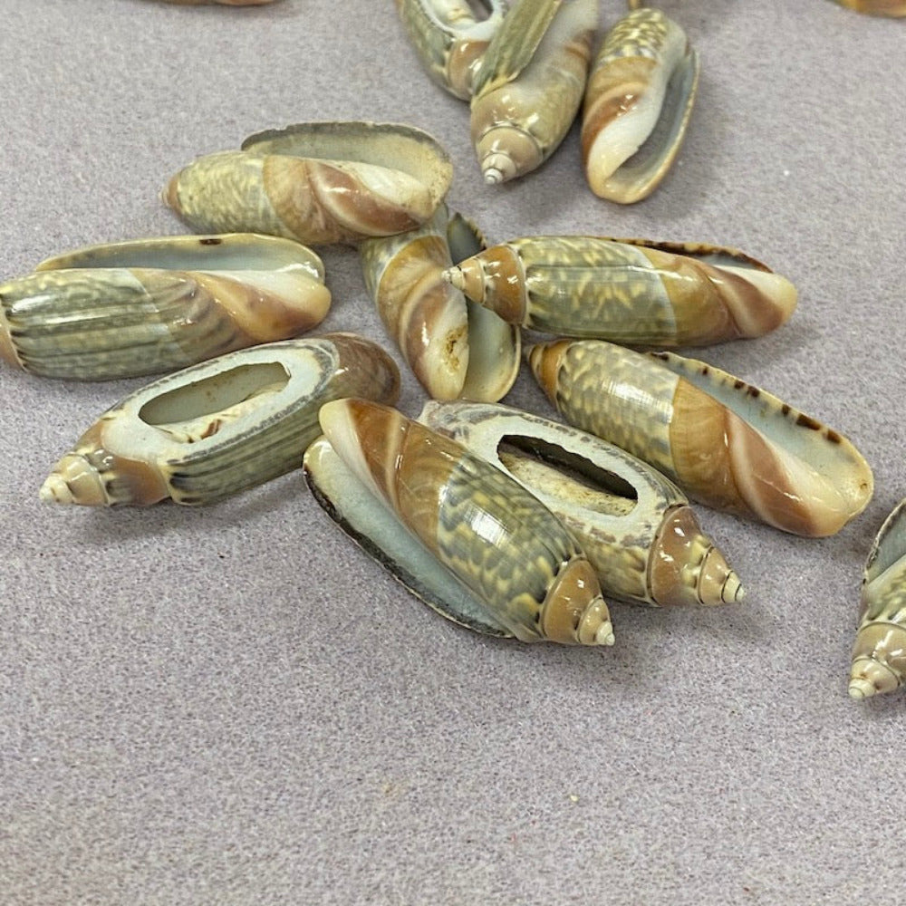 A set of cut cone shell beads in cream, white, green and brown colors displayed on a textured surface