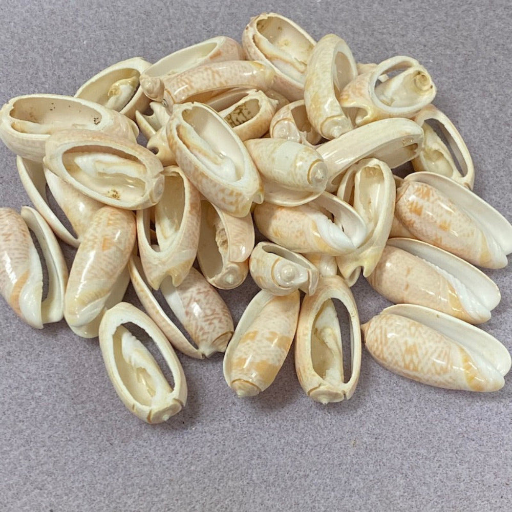 A set of cut cone shell beads in cream, white, and pink colors displayed on a grey textured surface