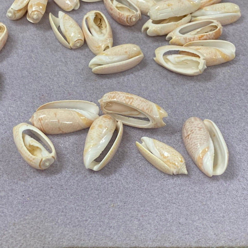 A set of cut cone shell beads in cream, white, and pink colors displayed on a grey textured surface