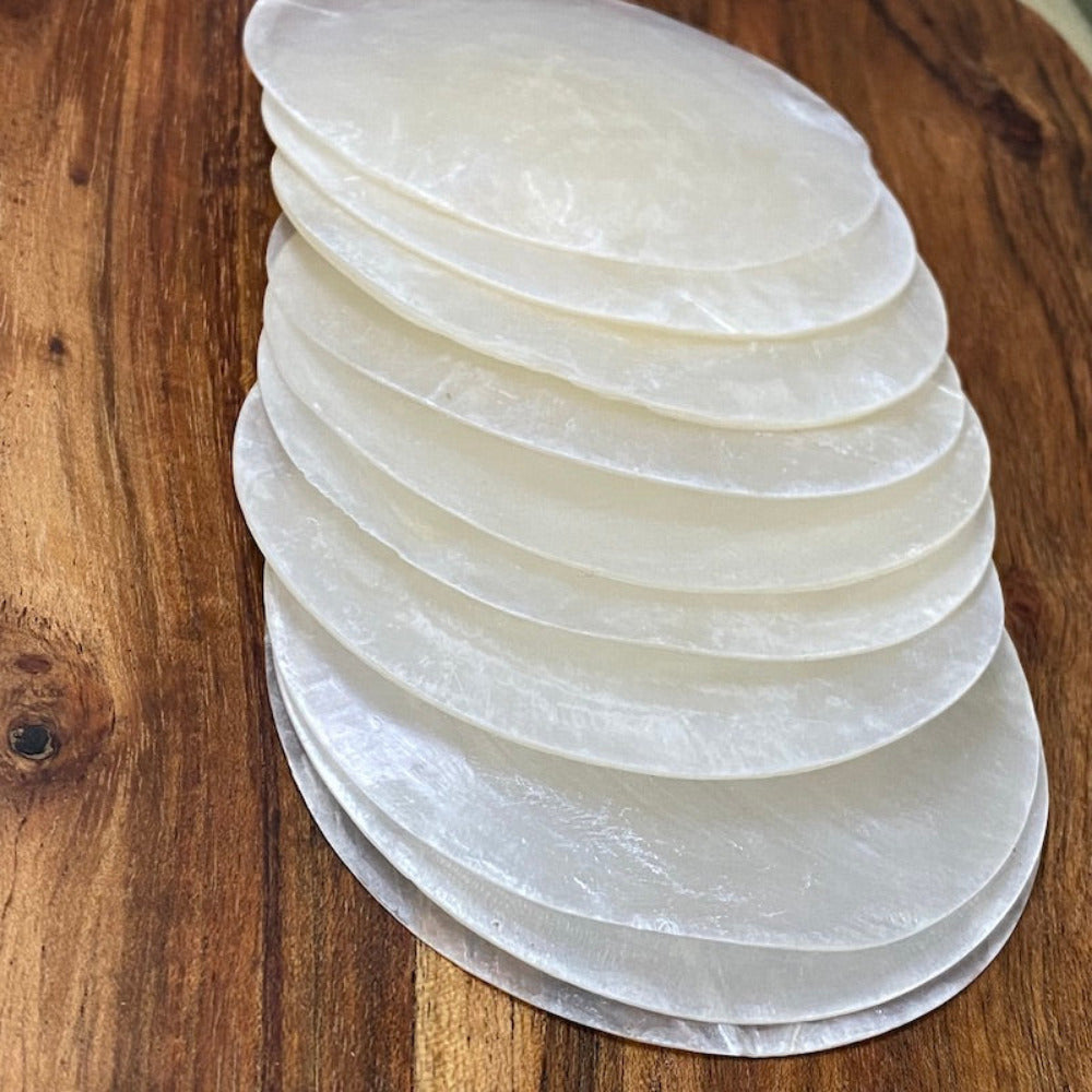 8cm oyster shell in white with one drilled hole for using as place name settings at weddings, bonbonierre or other craft projects and hanging decorations