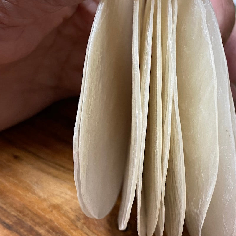 1-hole 8cm Capiz Shells (10) - White