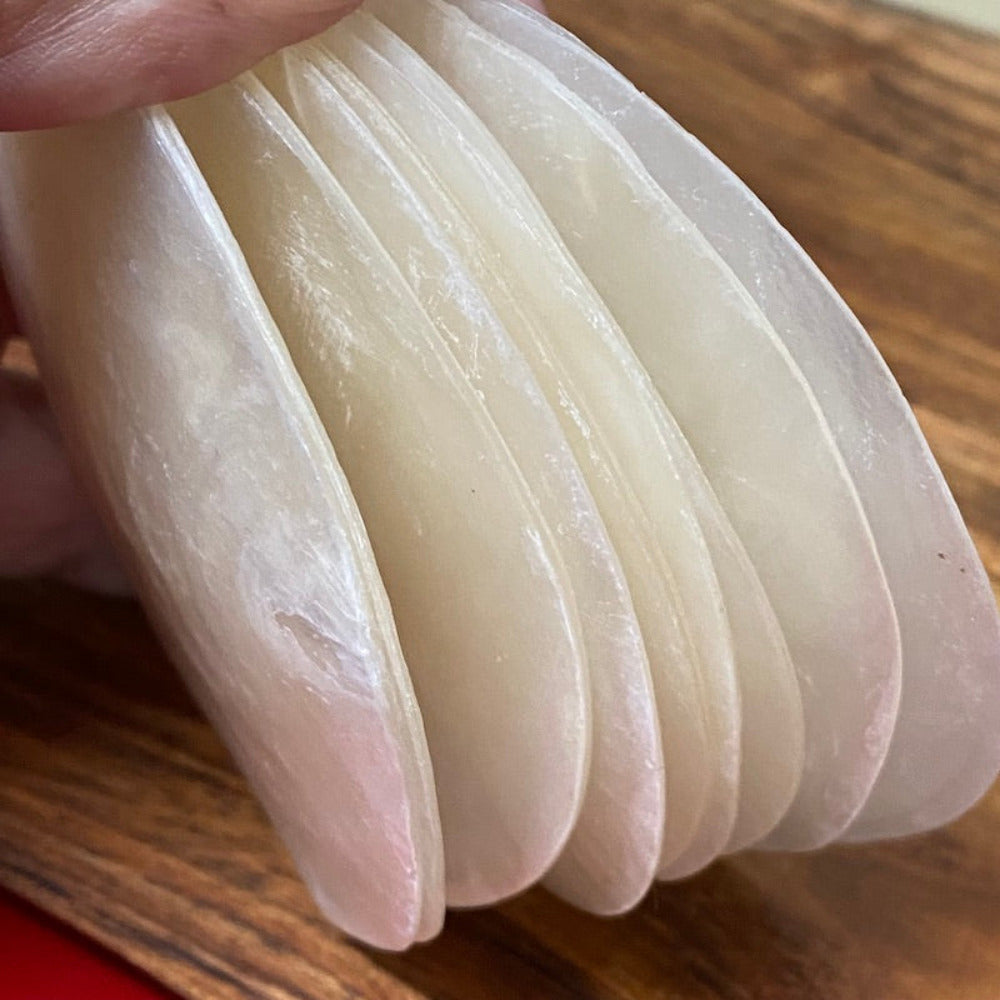8cm oyster shell in white with one drilled hole for using as place name settings at weddings, bonbonierre or other craft projects and hanging decorations