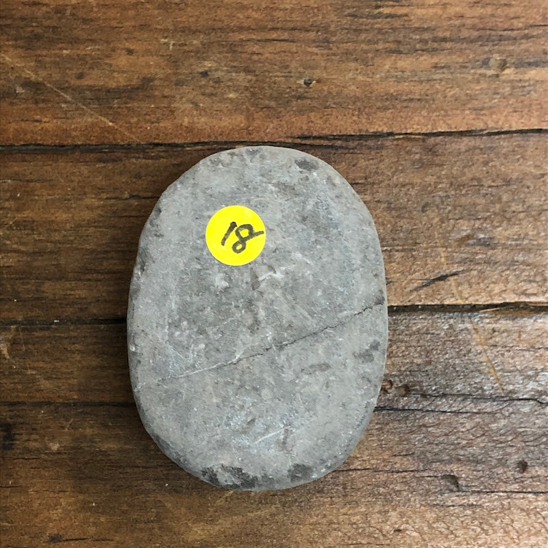 Scarab Vintage Egyptian Carved Stone #18