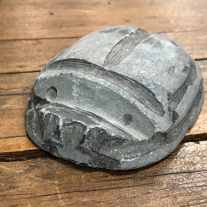 Scarab Vintage Egyptian Carved Stone #37