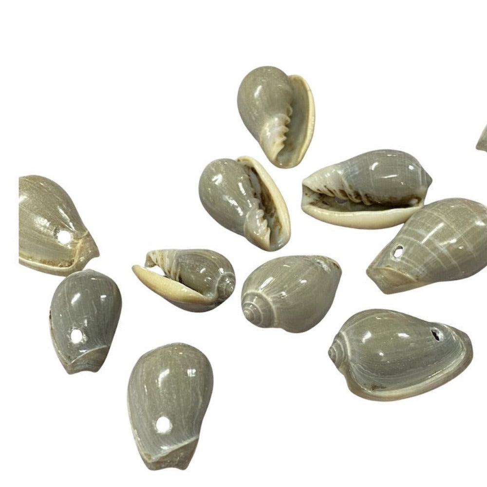 A collection of greenish grey cone-shaped shell beads placed on a white background