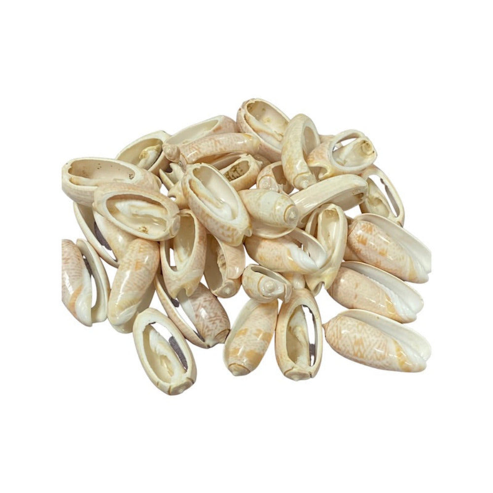A set of cut cone shell beads in cream, white, and pink colors displayed on a white background