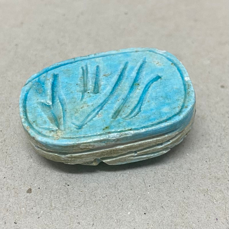 A vintage Egyptian scarab bead in blue color, displaying the reverse underneath side with Egyptian hieroglyphic markings