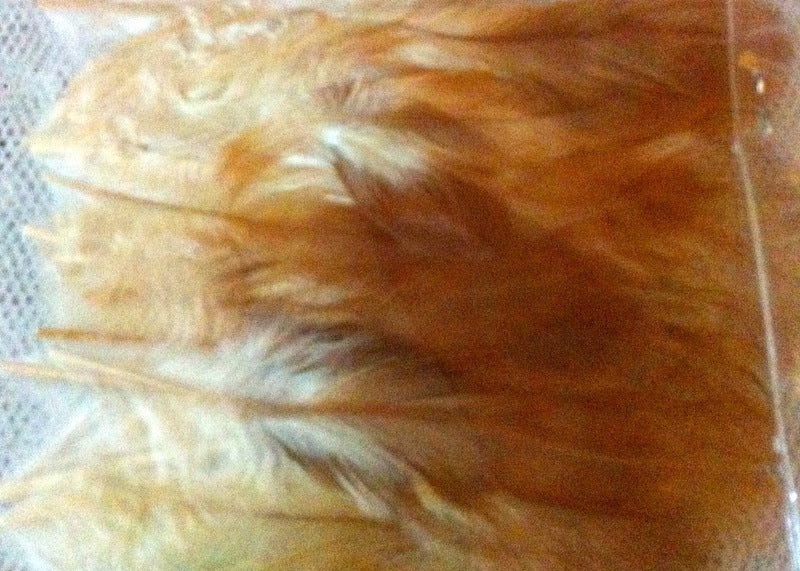 Feathers (50) - Natural