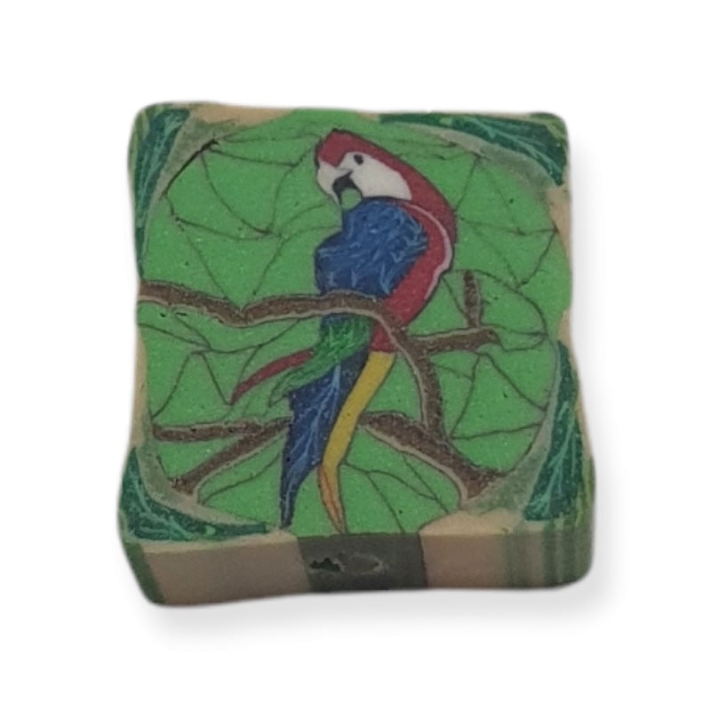 10mm Square Fimo Beads (10) - Parrot