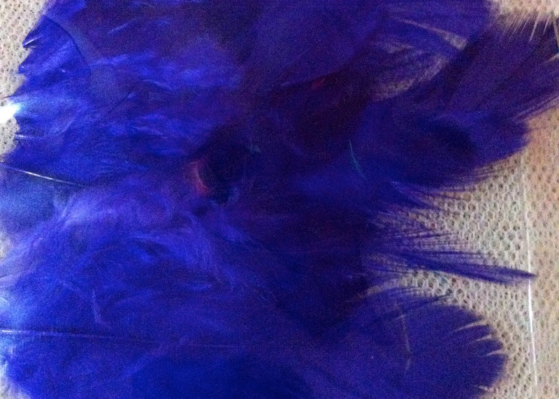 Feathers (50) - Purple