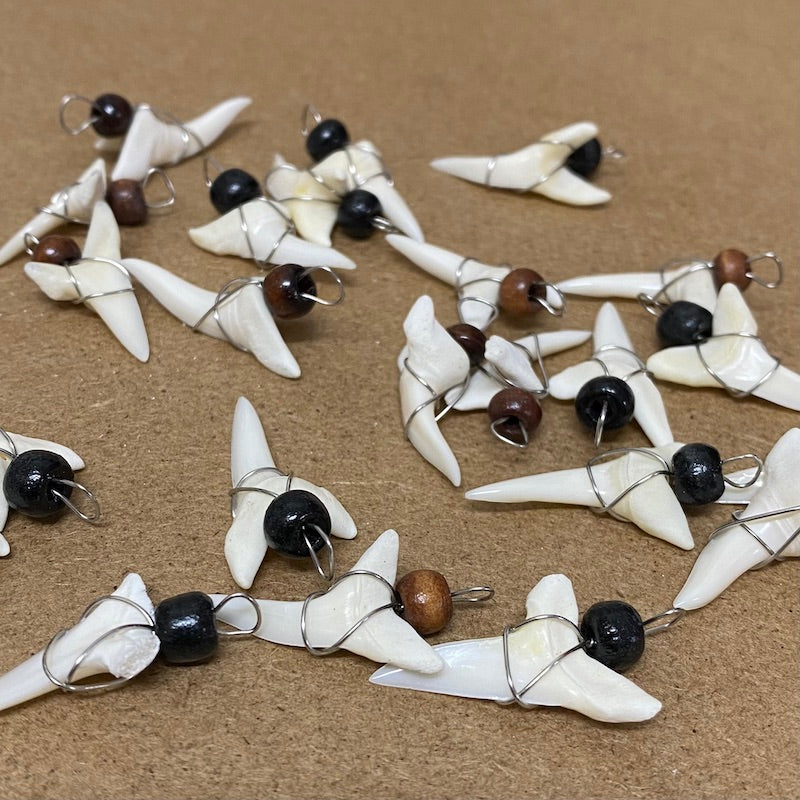 Large Shark Tooth Pendant