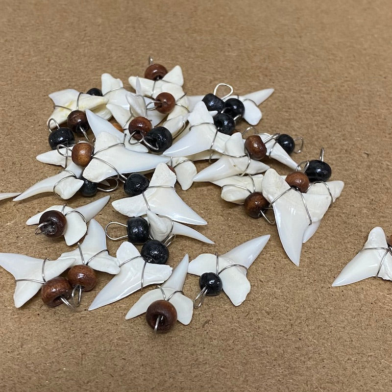 Regular Shark Tooth Pendant