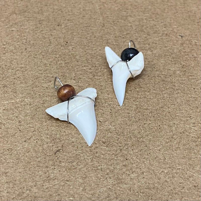 Regular Shark Tooth Pendant