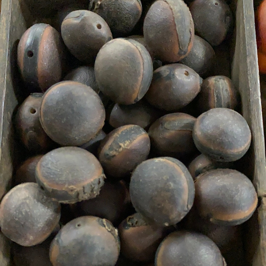 Deer's Eye Seed Bead (2) - Ojo de venado - Bead Shack