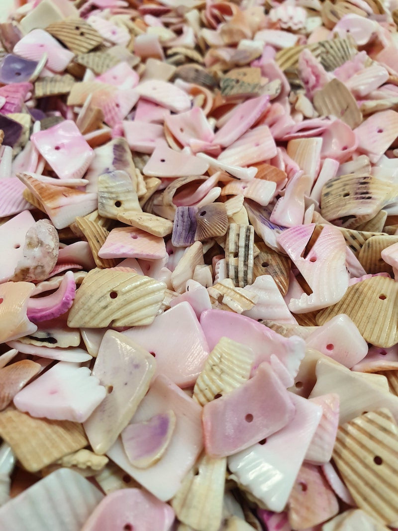 Other Shells – Bead Shack