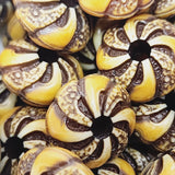 9x15.5mm Rondelle (10) - Brown/Cream - Persian Style Vintage Beads