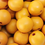 10mm Round (50) - Pumpkin - Pottery Look Lucite Beads - Matte