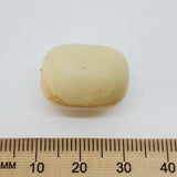 Beige barrel shape bead next to a wooden ruler on a white background