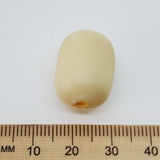Beige bead with a wooden ruler for scale on a white background