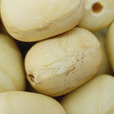 Close-up of beige wood look beads with a central hole.