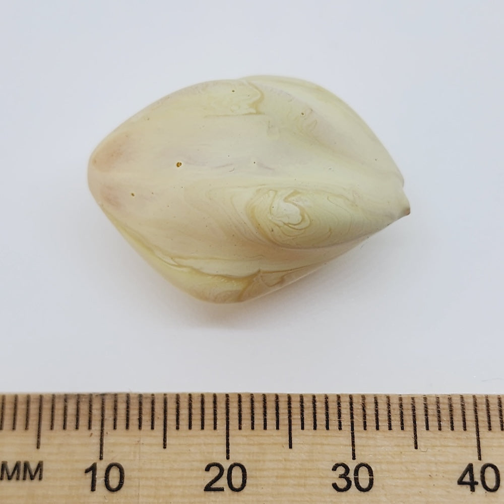 one cream bead on a white background with a ruler to show scale