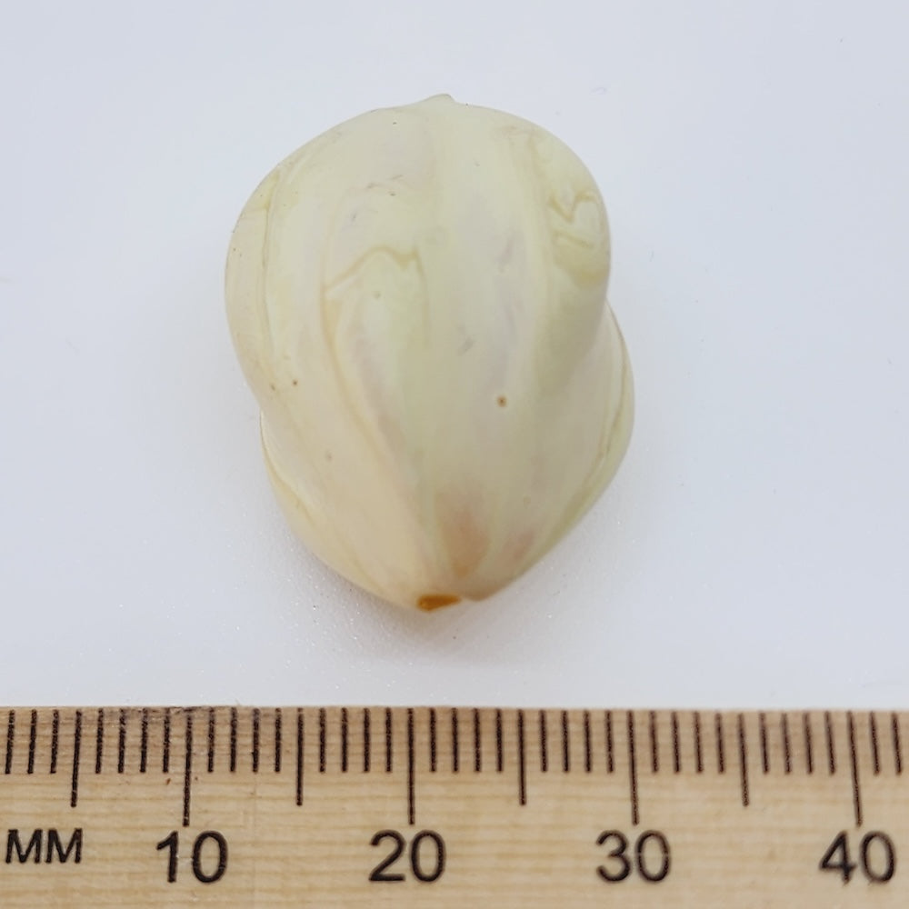 cream bead next to a wooden ruler on a white background